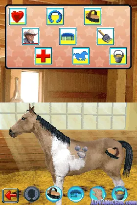 Western Riding Academy (USA) screen shot game playing